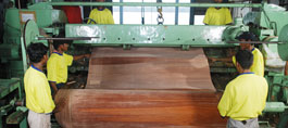 The peeled out veneer is reeled into rolls before they are tacked to the clipper machine.